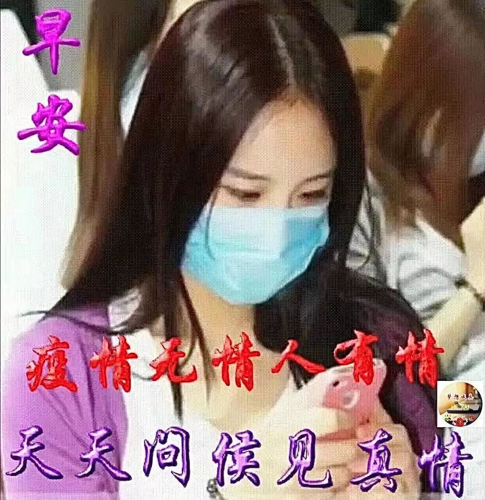 星期二早上好表情包，每天问个好，快乐多一秒，疫情无情人有情图片