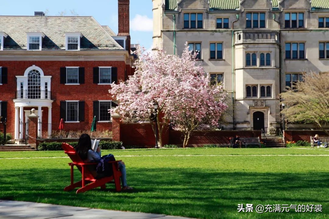 我，35岁，在耶鲁留学是一种什么幸福体验？
