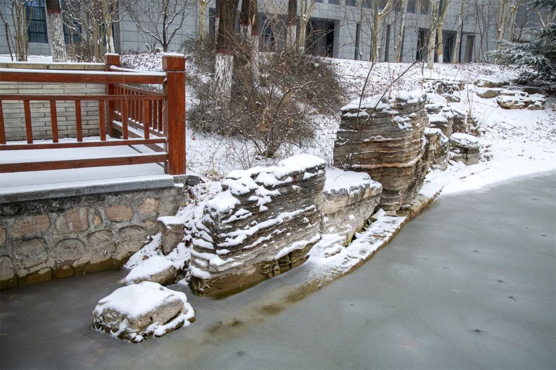 开年瑞雪，师大校园寂静如诗