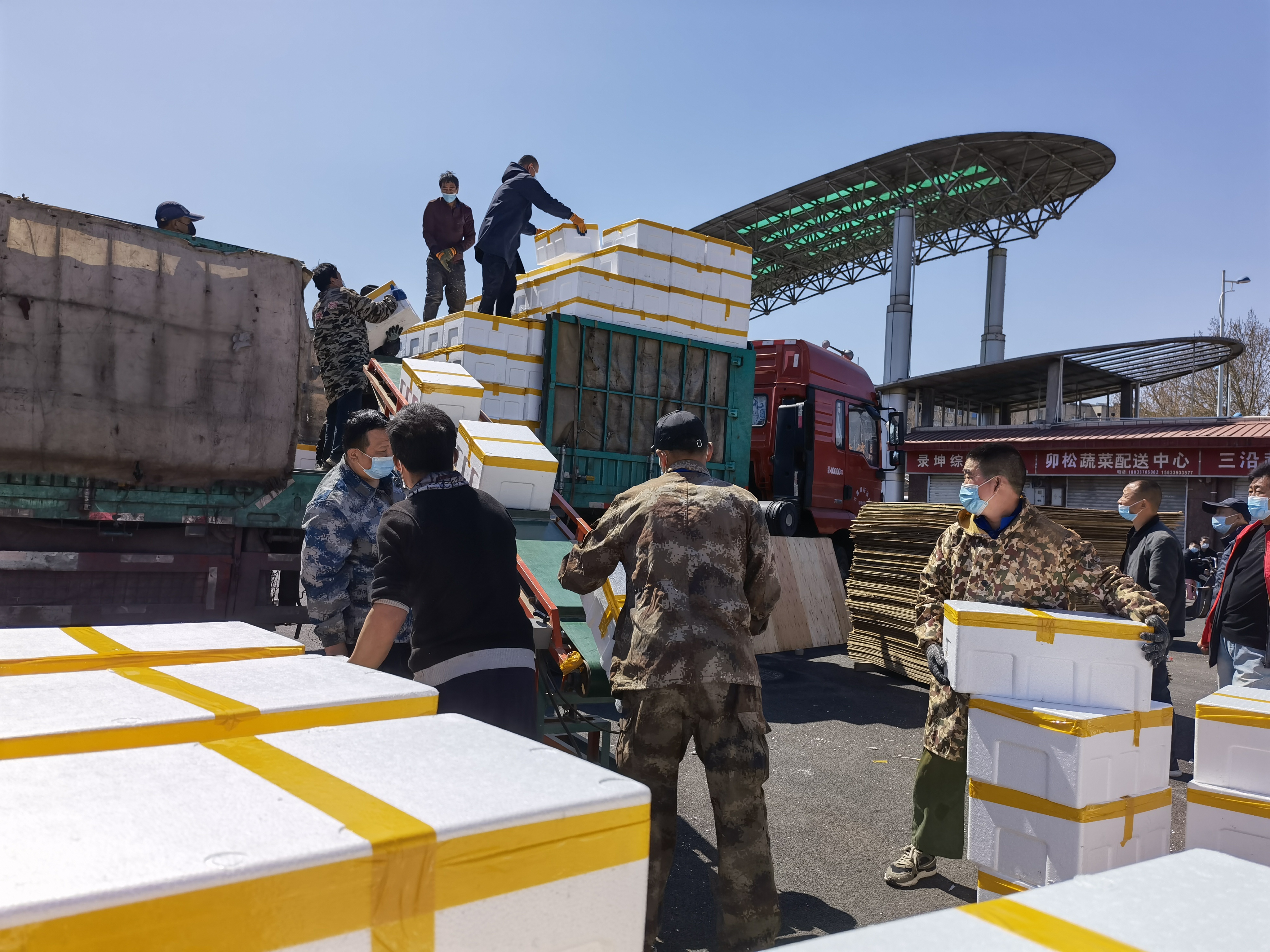 同心抗疫 共克時艱！河北3.5萬箱農產品緊急支援吉林