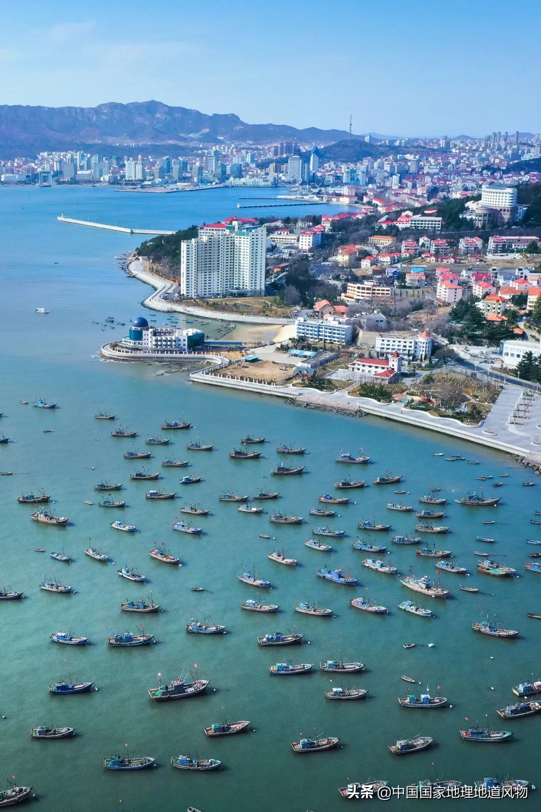 中国第一海鲜大省的这座城，让国人实现顶级生蚝自由