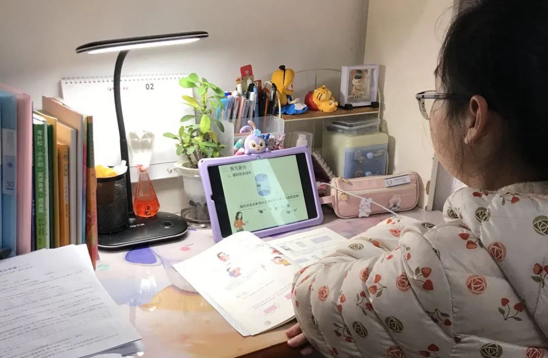 家长担忧网课效果？多校发布居家线上学习建议