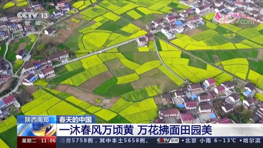 醉美拍点推荐 | 壮美！陕西南郑油菜花海登陆央视新闻“春天里的中国”