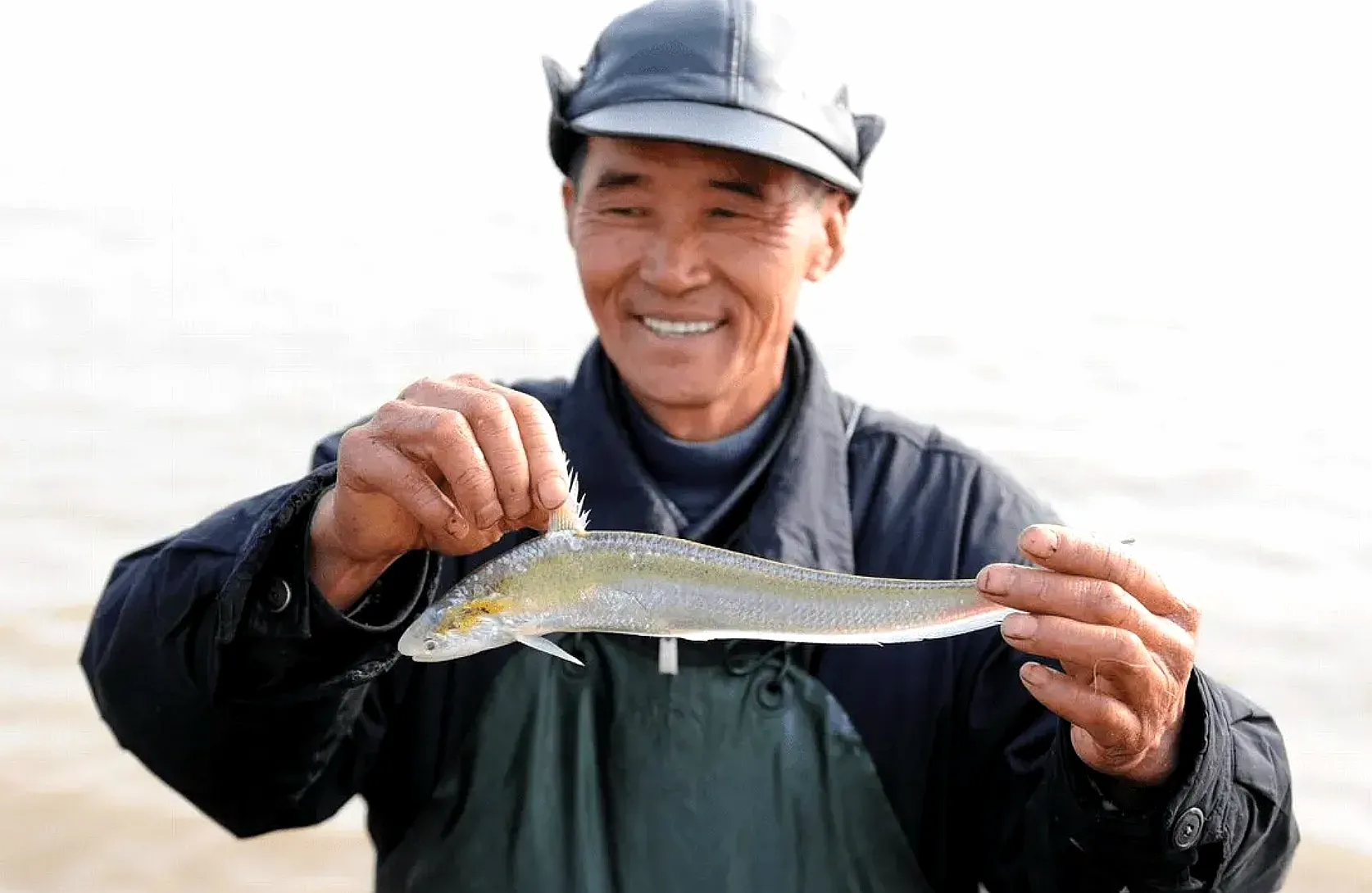 中国最贵的8种天价鱼--飞鸽网