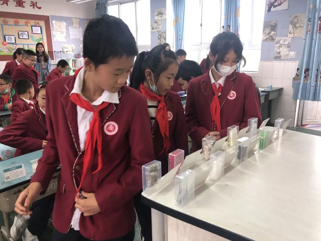 太平街道禁毒工作领导小组禁毒宣传走进合江小学开展校园教育活动