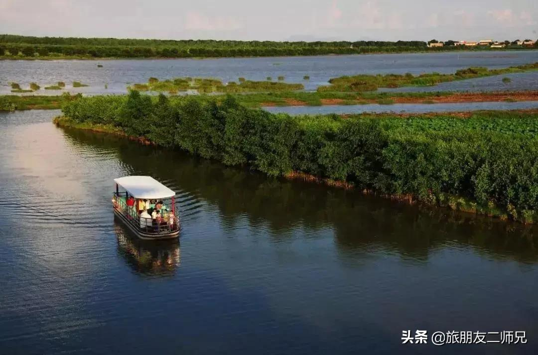 广州南沙湿地公园1天游,打卡十九涌渔家小镇