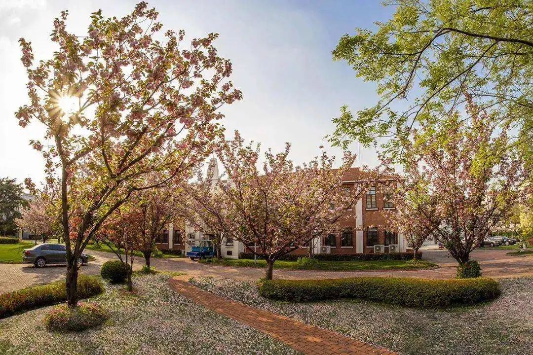 公办也能全市招生！上海10所特殊公办中小学，没有对口地段限制