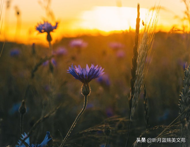 大年初十，写给爱人的祝福，温暖心扉