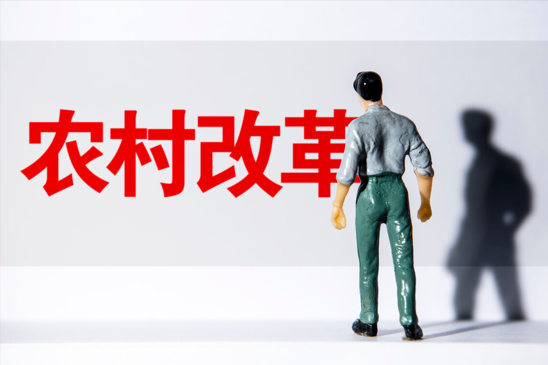 在明律师事务所咋收费（2022年中央一号文件中的）