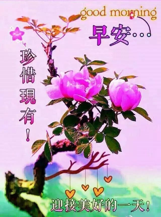 周六早上好祝福图片，愿你美丽心情展翅飞翔，柔柔的祝福暖在心间图片
