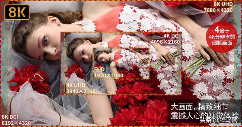 这些都是啥意思 ? EOS R5 8K视频拍摄规格详解