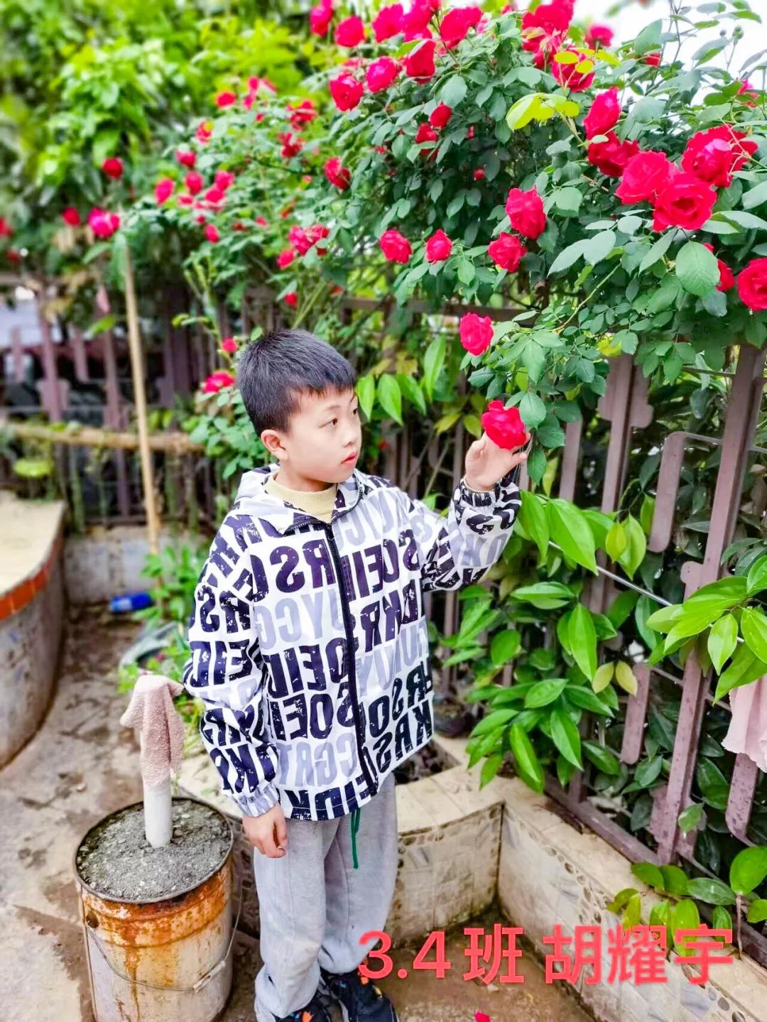 黄甲小学开展“人人参与科技节，我的科技节我做主”科技节活动