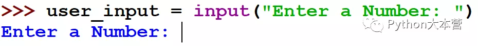 两种流行的编程语言 Python 和 JavaScript 的主要区别是什么?
