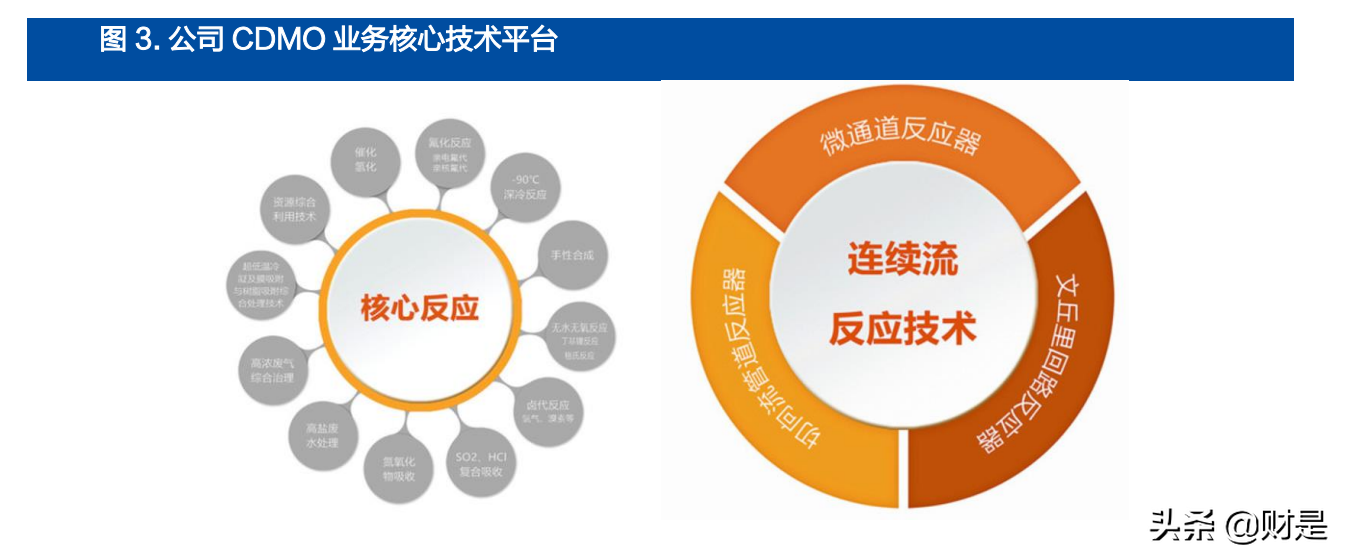金城医药研究报告：生物合成与化学合成双平台能量开始爆发