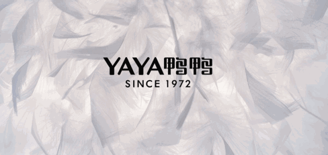 50年品牌发展史，来自江西的这个羽绒服，简直就是国货之光