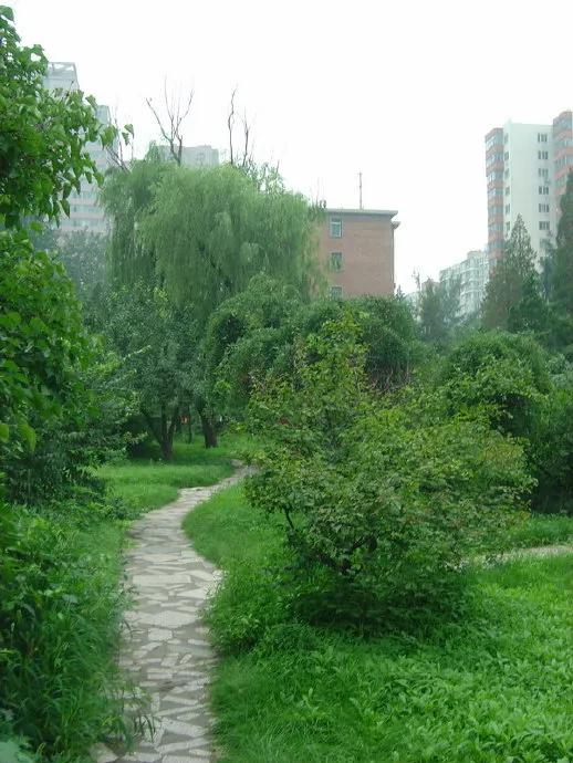 2012年07月08日 回到老地方