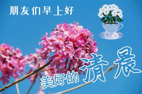 新的一天早上好表情包动态更新 天寒别忘了保暖图片