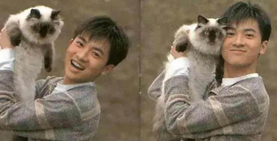 “含胸驼背”别硬演古偶，所谓“玉面小郎君”，还得看这9位明星