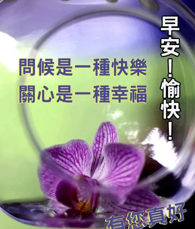 周二早上好满满正能量语录 愿山河无恙、人间永无疫图片