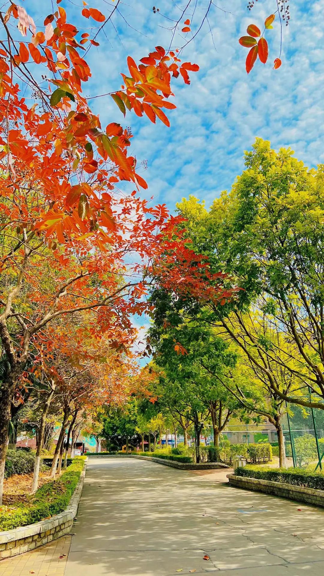 专升本出分啦！欢迎报考广州华立学院(原广东工业大学华立学院）