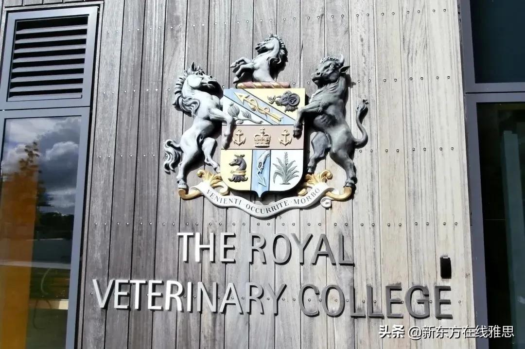 作为全球最佳留学城市No.1，伦敦竟有这么多你不知道的名校