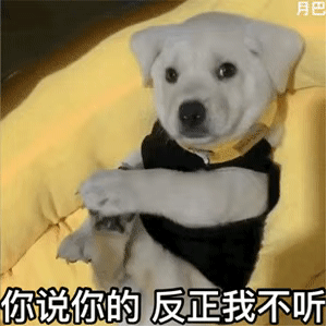 表情包｜你说你的，反正我不听