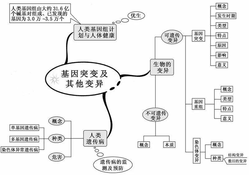 草履虫结构图(初中生物：重要知识点图解，内容清晰明了、简单易懂)