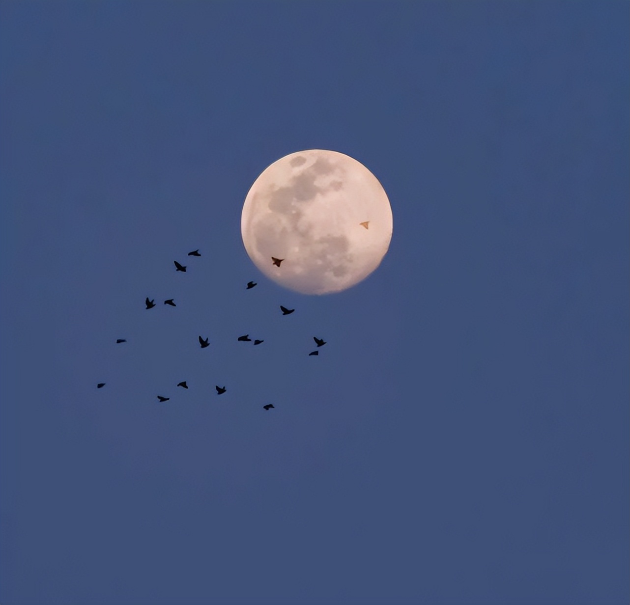 适合写在同学录上的毕业赠言