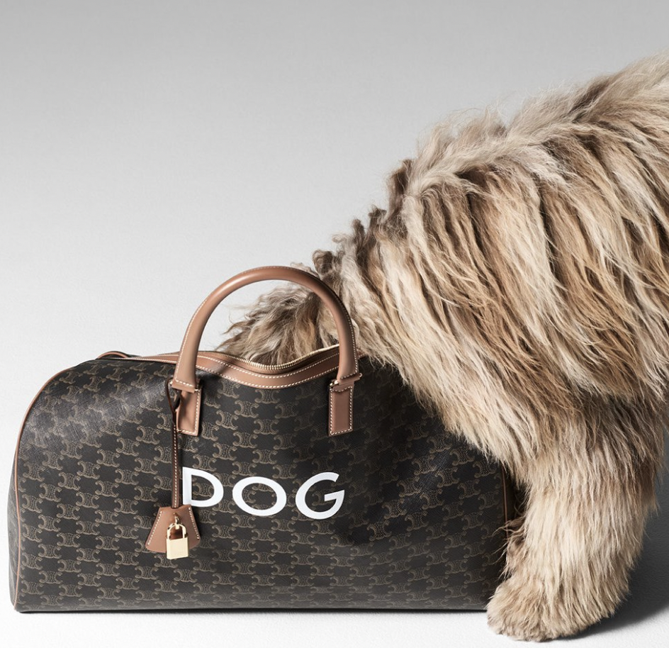 CELINE 进军宠物领域，将推出首个奢华生活方式系列产品