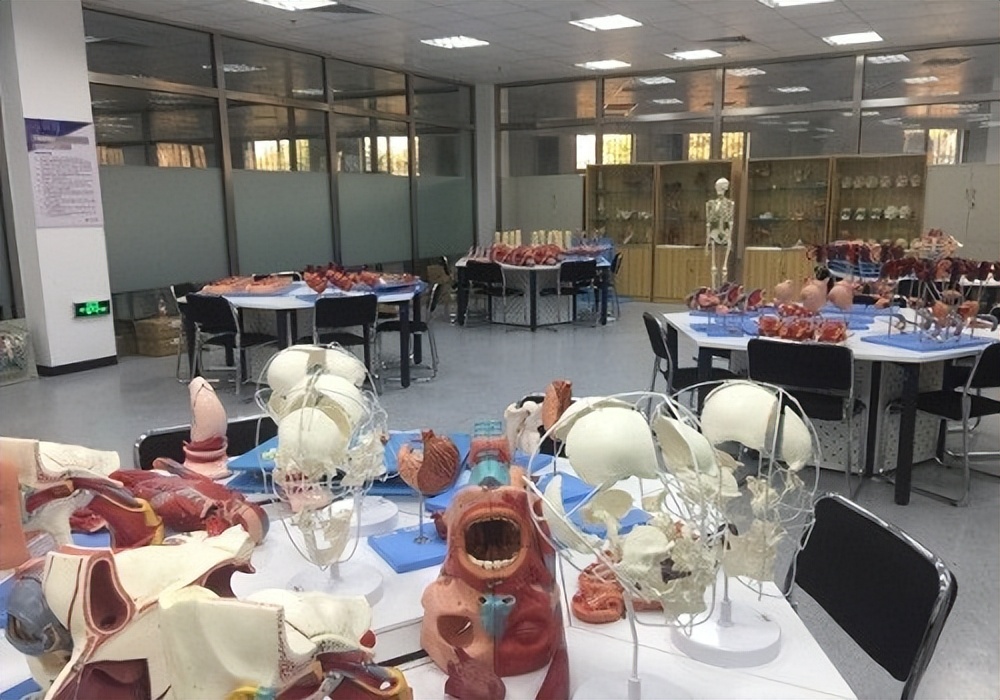 智能医学工程专业｜携手智能医学，“医”起拥抱未来