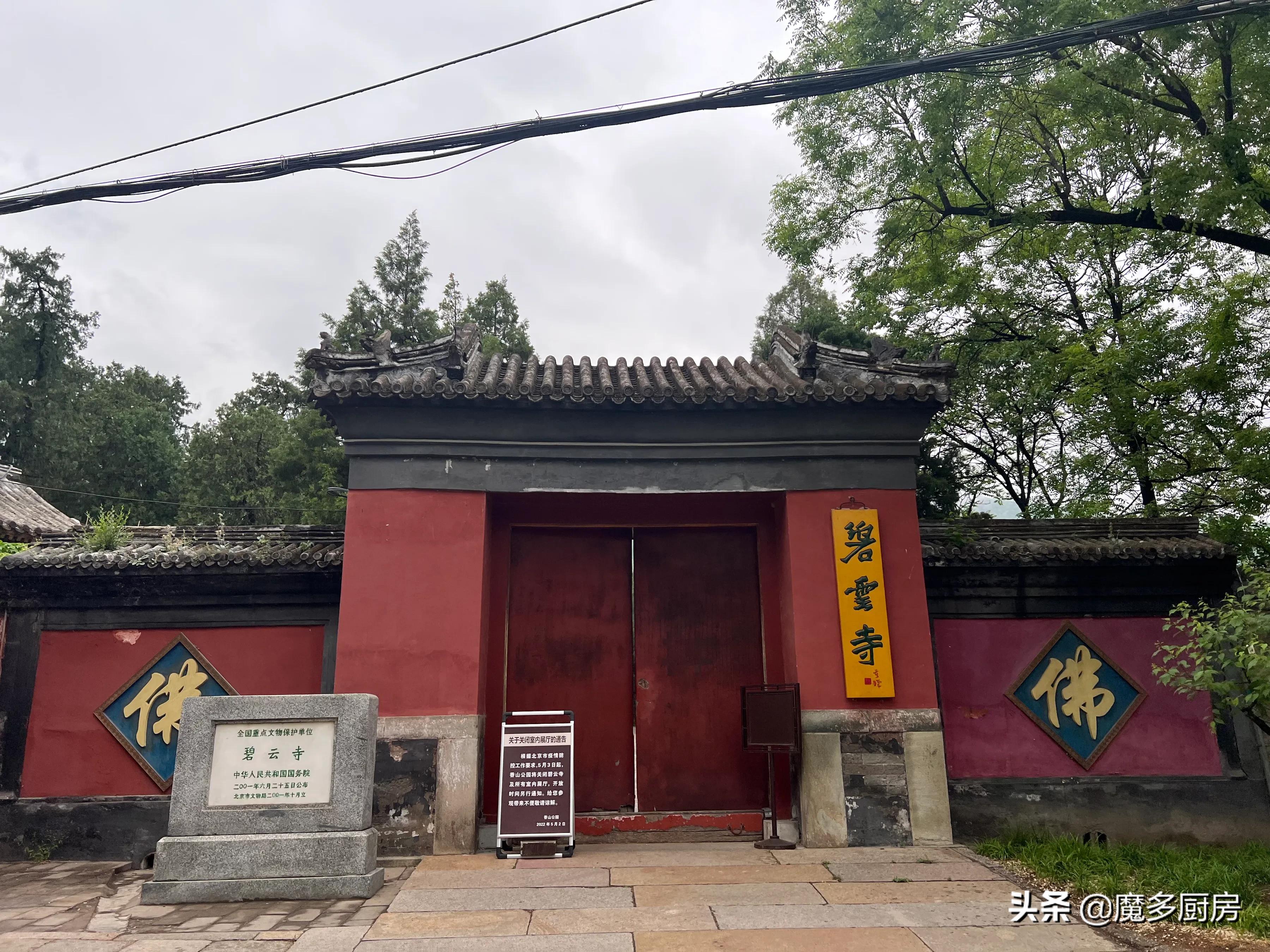 北京香山植物園戶外記錄，帶孩子們雨中山野徒步，感受自然樂趣