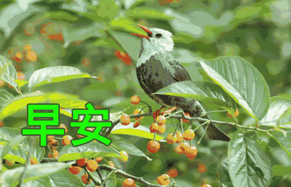 朋友圈暖心的周四早晨好图片带字，问候很平静却很温馨图片