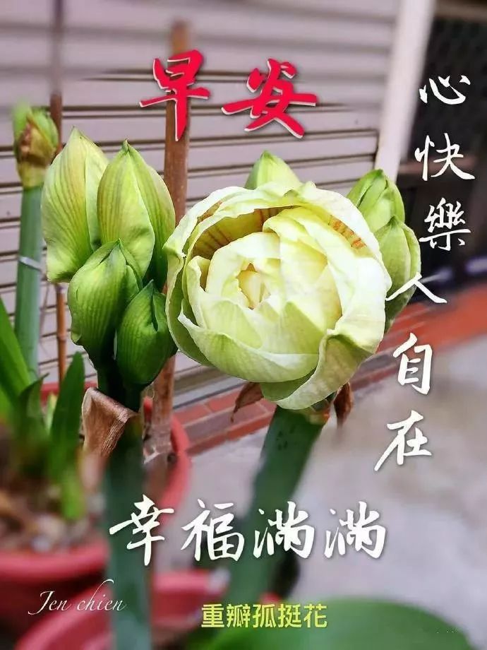 新周早上好表情图片，最新早上好每天祝福语，心之所愿、无所不成图片