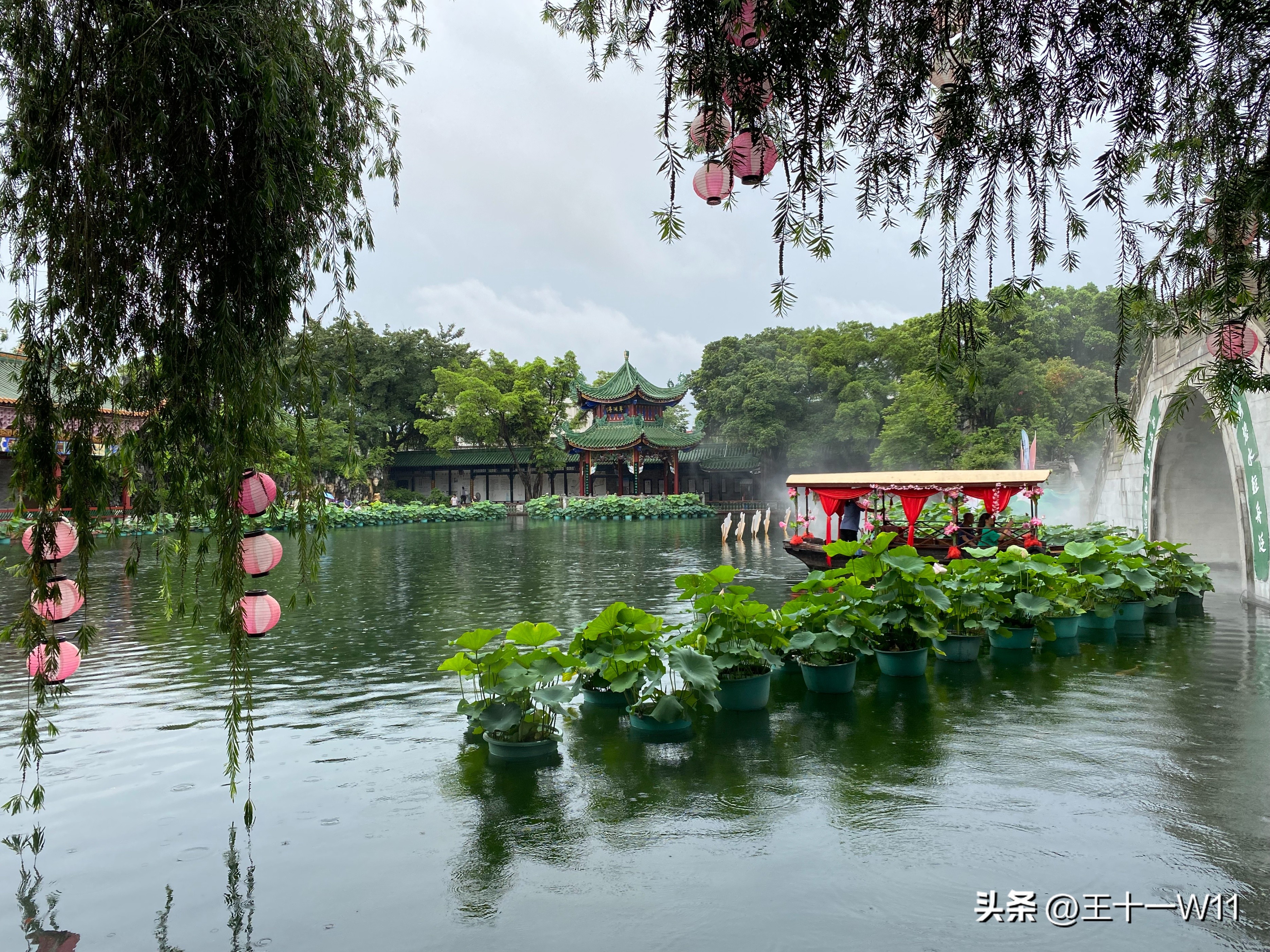 雨中漫步宝墨园，赏荷游船好惬意