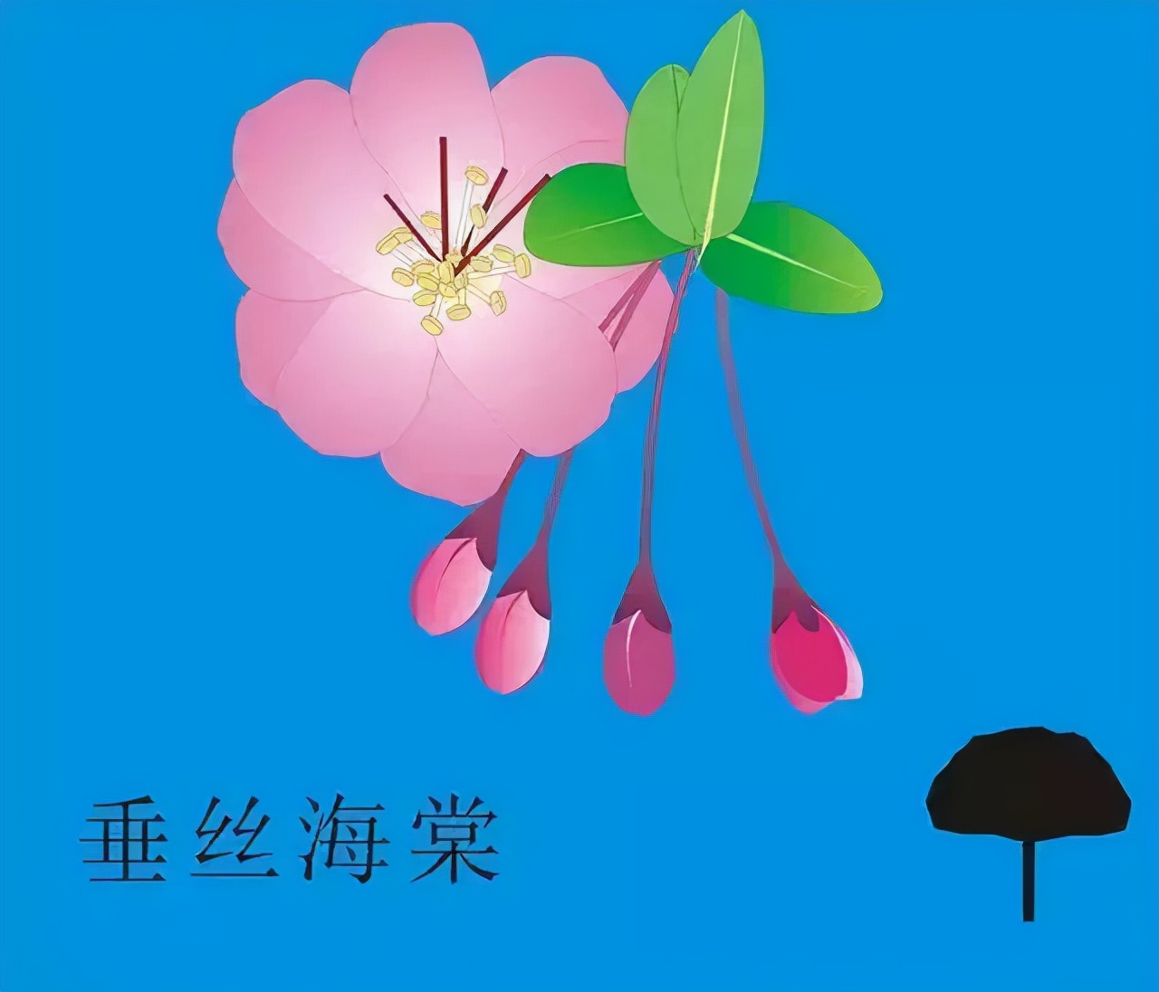 又到了樱梅桃李梨杏海棠……盛开的季节！脸盲吗？看这个