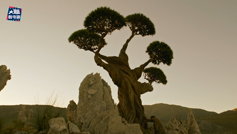 《异星灾变》第二季4-6集剧情回顾！全程的高能量！人变成树