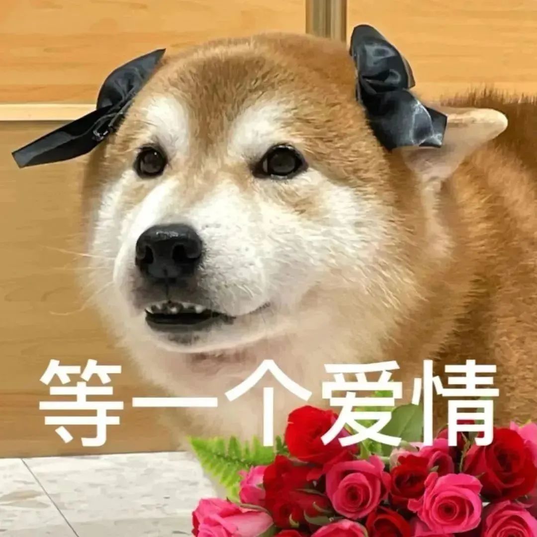 你要知道各花各有各花香