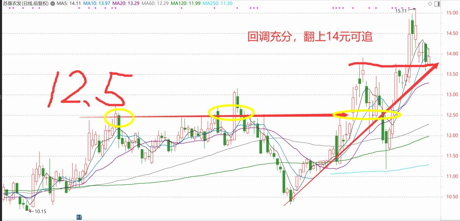 明天准备收入的五只潜力股（技术面分析带点位）