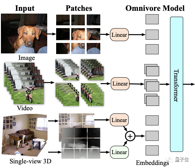 Meta AI推出“杂食者”：一个模型搞定图像视频和3D数据的分类任务