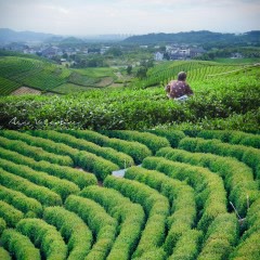 十大浙皖地区入门级徒步地，周末就能打卡，踏遍群山