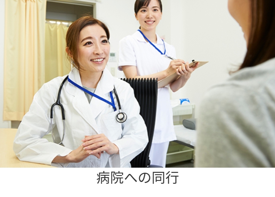 日本国際工科専門学校丨旧校名（明生情ビジネス専門学校）