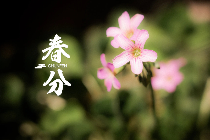 春分 | 春半日暖 昼夜平分，十首春半的诗词，带你览尽美好春光