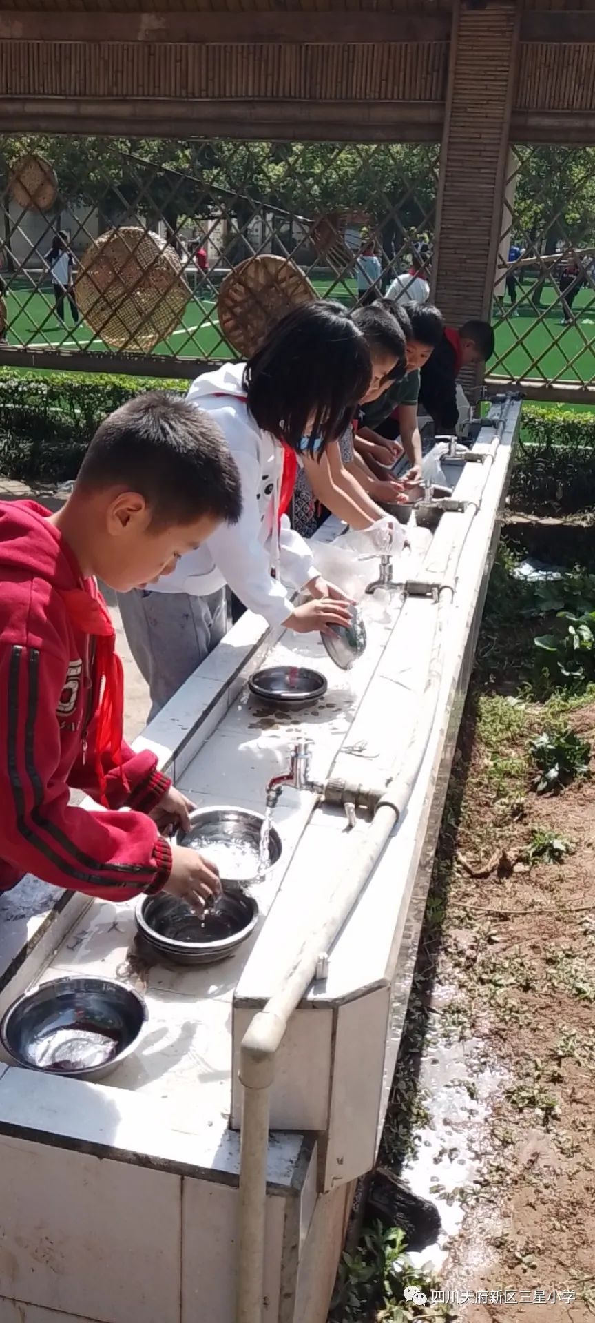 四川天府新区三星小学在学生中开展餐厨活动以实践劳动课程