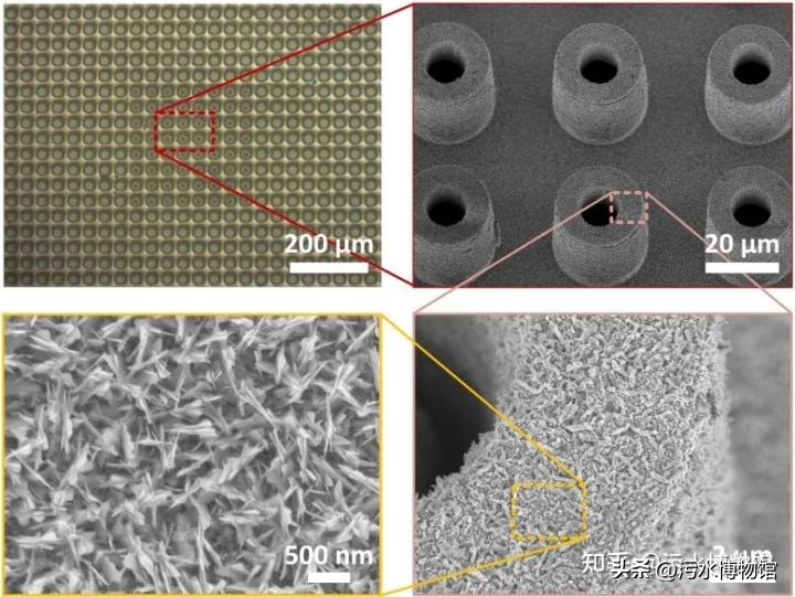 污水处理一千零一问（80）：麻省理工学院最新研究成果长啥样？