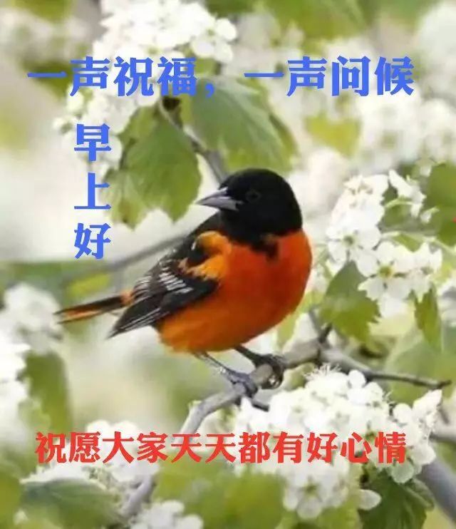 微信朋友圈最新发布早安祝福句子 满满祝福送亲友图片