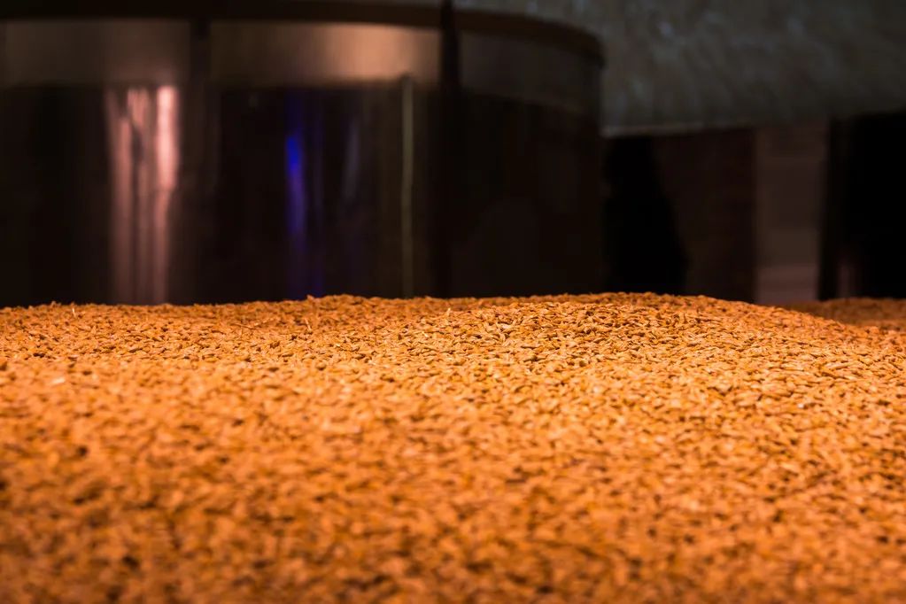 揭秘喜力啤酒超级工厂，一年产10亿升，用着100多年前的酵母