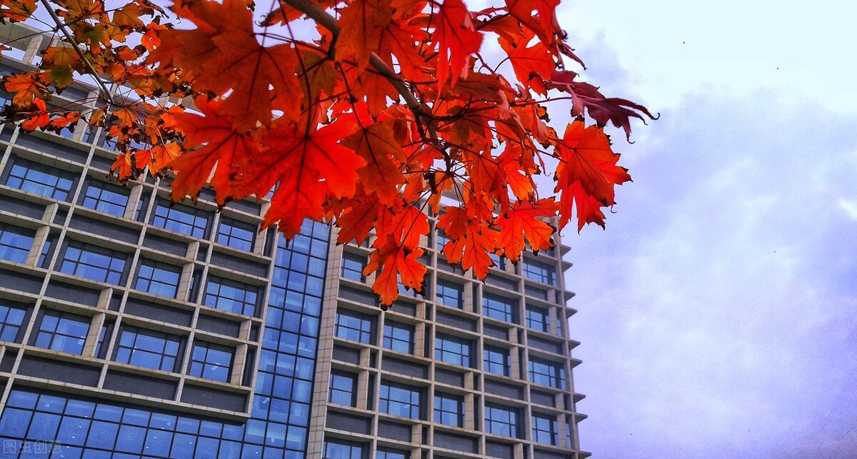 河南460分到530分，可以报考这4所高校，办学质量高就业有保障