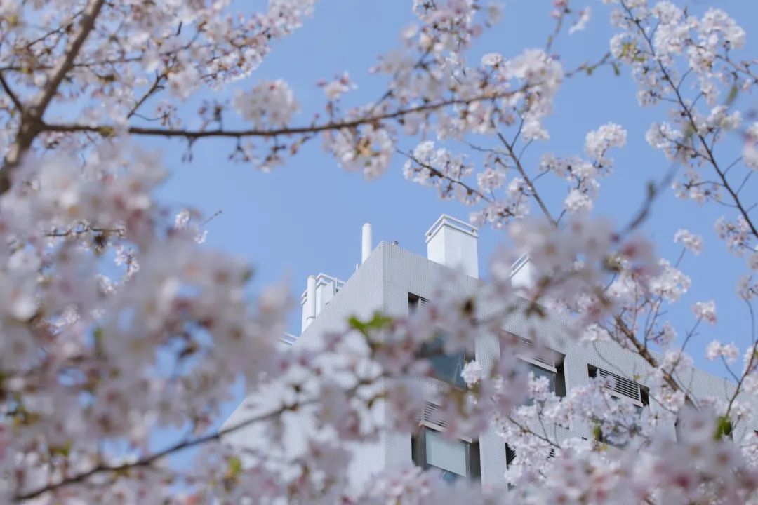 浙江大学考研壁纸图片