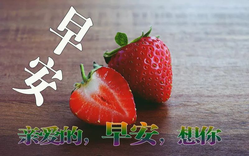 周一更新漂亮唯美早上好表情包 开心自在、美丽好心情图片
