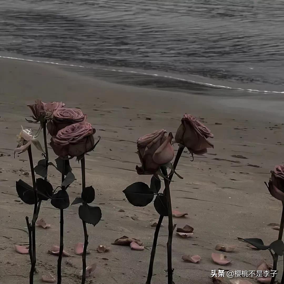 文案｜那些藏在歌词里的别样情愫句子